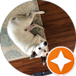 Profile photo of Silvia Gregory