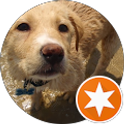 Profile photo of Hunter P