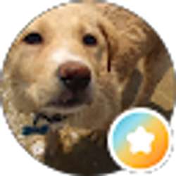 Profile photo of Hunter P