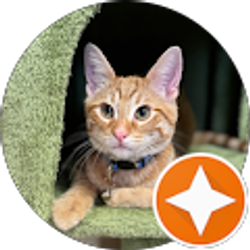 Profile photo of Haley Keever