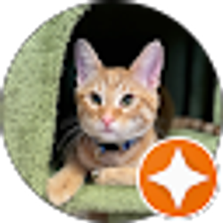 Profile photo of Haley Keever