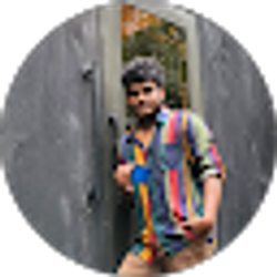 Profile photo of Koushik Reddy Rokkam