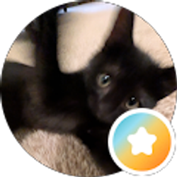 Profile photo of Jade Higgins