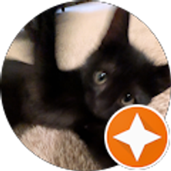 Profile photo of Jade Higgins