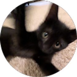 Profile photo of Jade Higgins