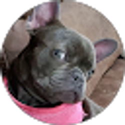 Profile photo of Teeyah Vohn