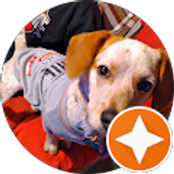 Profile photo of Lisa Griffith