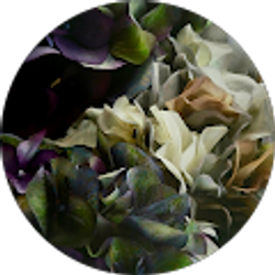 Profile photo of Bonjour