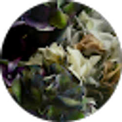 Profile photo of Bonjour