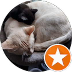 Profile photo of Courtney Ethington