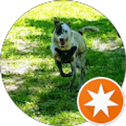 Profile photo of G M