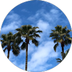 Profile photo of Cristian Valadez