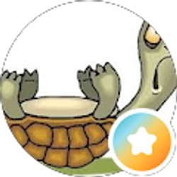 Profile photo of Carolyn Hocke