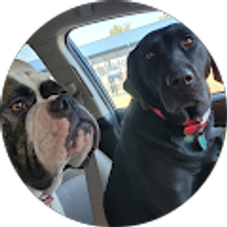 Profile photo of Sondra Green