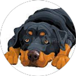 Profile photo of Carol Nelson