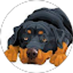 Profile photo of Carol Nelson