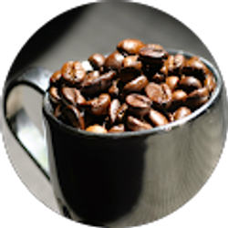 Profile photo of Robert Johnson