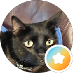Profile photo of Nick Collins