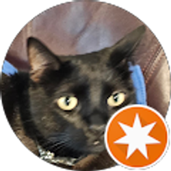 Profile photo of Nick Collins