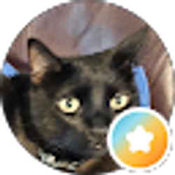 Profile photo of Nick Collins