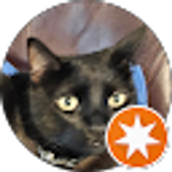 Profile photo of Nick Collins