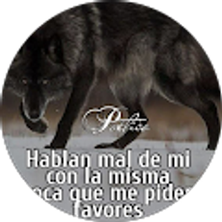 Profile photo of Alberto Tapia