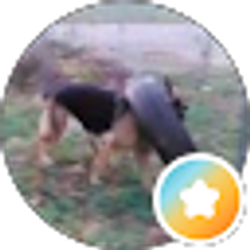 Profile photo of Matt Sullivan