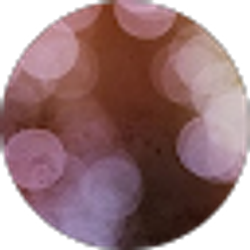 Profile photo of Lisa Tveit