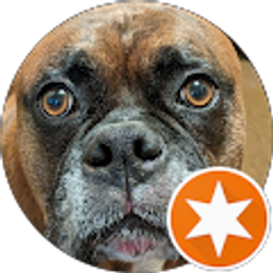 Profile photo of Craigslist user