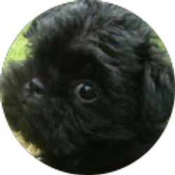 Profile photo of Lin Jones