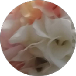 Profile photo of Guadalupe Alcantar