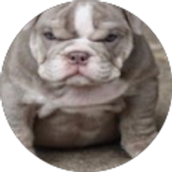 Profile photo of Evan Cunningham