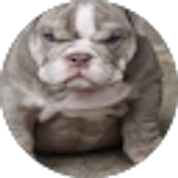 Profile photo of Evan Cunningham