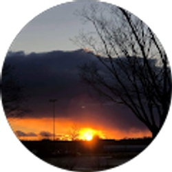 Profile photo of Denise Martin