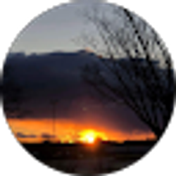 Profile photo of Denise Martin