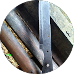 Profile photo of Man Somewhere out there