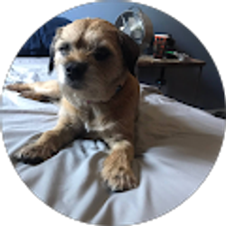 Profile photo of Sam Rickman.