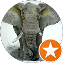 Profile photo of Corey