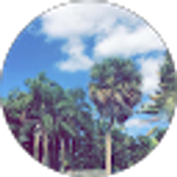 Profile photo of Rayan Clarke