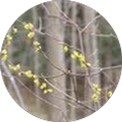 Profile photo of Colleen Kearns