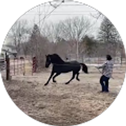 Profile photo of Michael perez