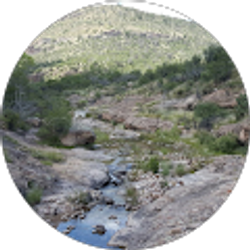 Profile photo of Mere Cano