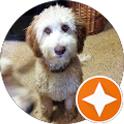 Profile photo of Brett Schneider