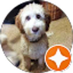 Profile photo of Brett Schneider