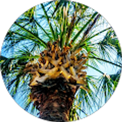 Profile photo of Erin Wise