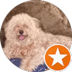 Profile photo of A Smiles