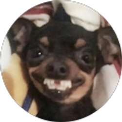 Profile photo of jonathan aguirre