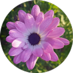 Profile photo of Kasia Borawski