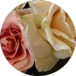 Profile photo of Sharon Giles