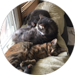 Profile photo of Sheila Carter